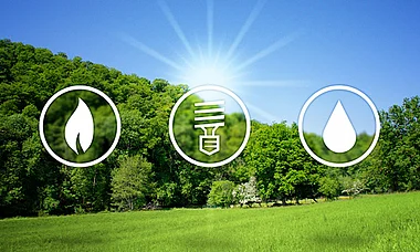 Grüne Wiesenlandschaft mit Bäumen und blauem Himmel.