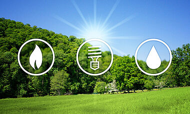 Grüne Wiesenlandschaft mit Bäumen und blauem Himmel.